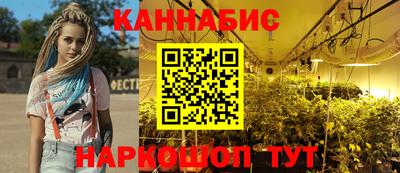 прущие грибы Малгобек