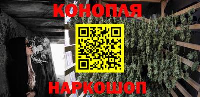 прущие грибы Малгобек