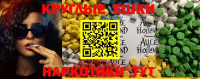 прущие грибы Малгобек