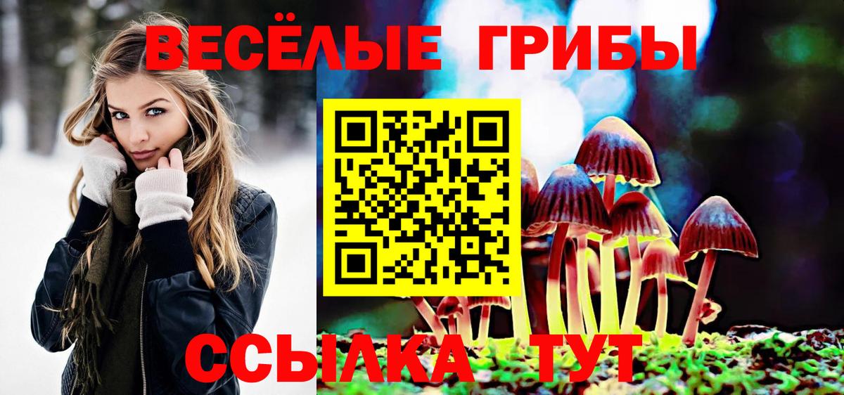 Зеленодольск  Псилоцибиновые грибы Psilocybe  Вход с VPN 